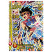 Dragon Quest: The Adventure of Dai XROSS BLADE Limited Card 9 Pocket Binder Set_4