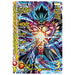 Dragon Quest: The Adventure of Dai XROSS BLADE Limited Card 9 Pocket Binder Set_8