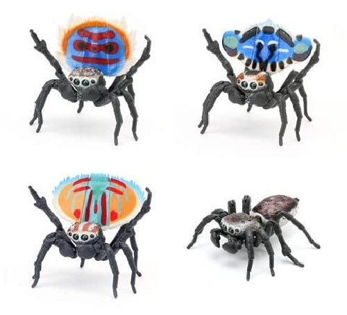 Bandai Ikimono Large encyclopedia Peacock spider Figure Set of 4 Gashapon toys_1