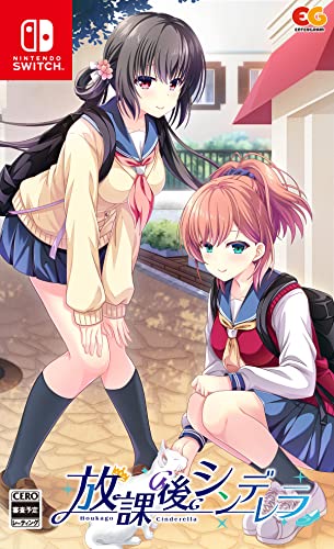 Nintendo Switch Game Software Houkago Cinderella HAC-P-A6W3A Character Game NEW_1
