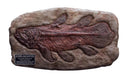 StarAceToys Wonders of the Wild Coelacanth Fossil Replica Polyresin Statue NEW_1