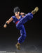 S.H. Figuarts Dragon Ball Super Ultimate Gohan SUPER HERO Figure BAS63235 NEW_7