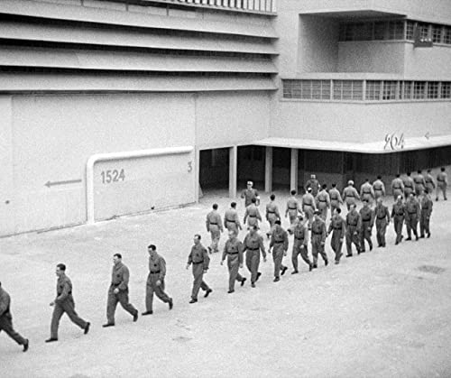 A Nous la Liberte 4K repair version [Blu-ray] Director Rene Clair NEW from Japan_7