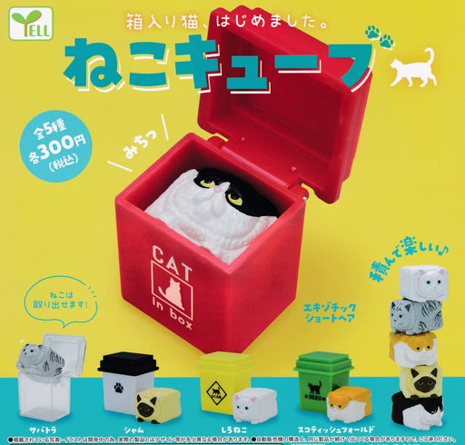 Yell cats cube Boxed Cats Set of 5 Full Complete Set Gashapon Capsule toys NEW_1
