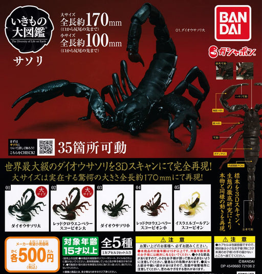 Bandai Encyclopedia of Ikimono Scorpions All 5 Type Set Gashapon Capsule Toys_1