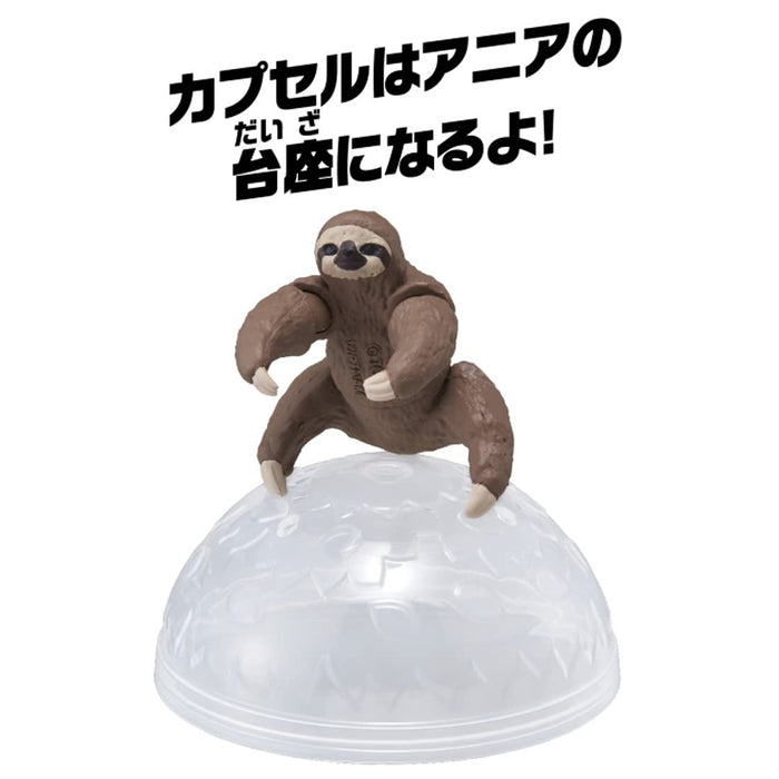 Takara Tomy Ania AC-06 Sloth (Children) Animal Dinosaur Real Moving Figure Toy_3