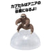 Takara Tomy Ania AC-06 Sloth (Children) Animal Dinosaur Real Moving Figure Toy_3
