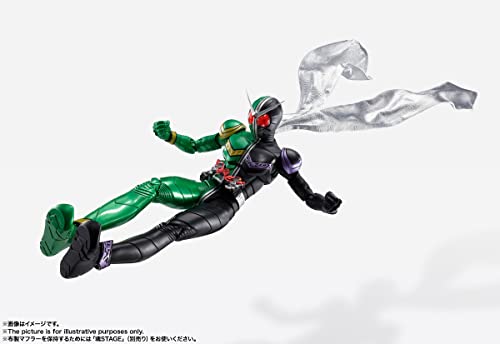 Kamen Rider W Cyclone Joker Fuuto PI Animation Memorial Action Figure BAS63759_6