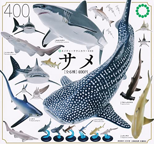 Ikimon Nature Technicolor 400 Shark Set of 6 Full Complete Gashapon toys NEW_1