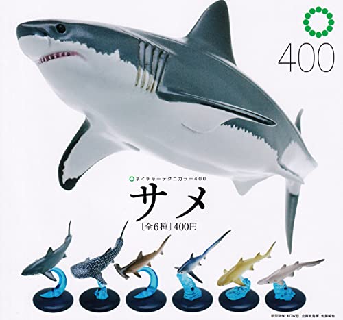Ikimon Nature Technicolor 400 Shark Set of 6 Full Complete Gashapon toys NEW_2