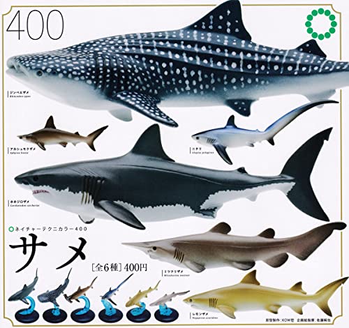Ikimon Nature Technicolor 400 Shark Set of 6 Full Complete Gashapon toys NEW_3