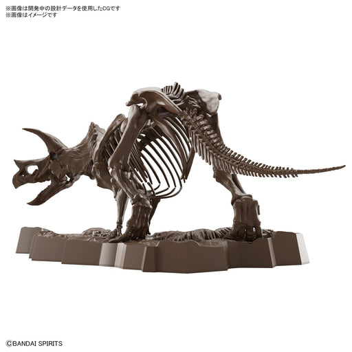 BANDAI SPIRITS 1/32 Imaginary Skeleton Triceratops Plastic Model Kit 2569328 NEW_2