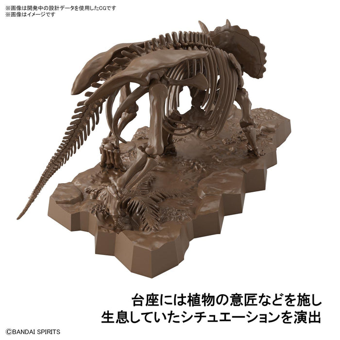 BANDAI SPIRITS 1/32 Imaginary Skeleton Triceratops Plastic Model Kit 2569328 NEW_3
