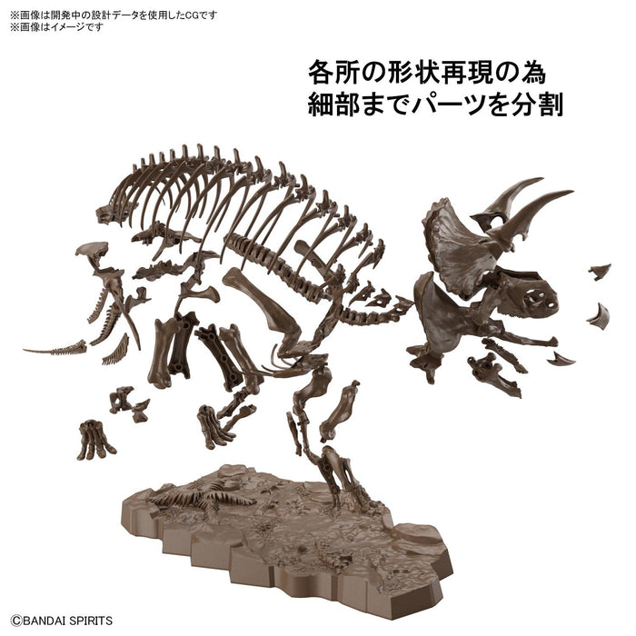 BANDAI SPIRITS 1/32 Imaginary Skeleton Triceratops Plastic Model Kit 2569328 NEW_4