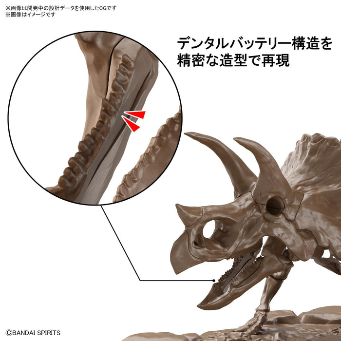 BANDAI SPIRITS 1/32 Imaginary Skeleton Triceratops Plastic Model Kit 2569328 NEW_7