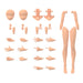 30MS Optional Body Parts Arm Parts & Leg Parts [Color C] Model Kit 2616276 NEW_1