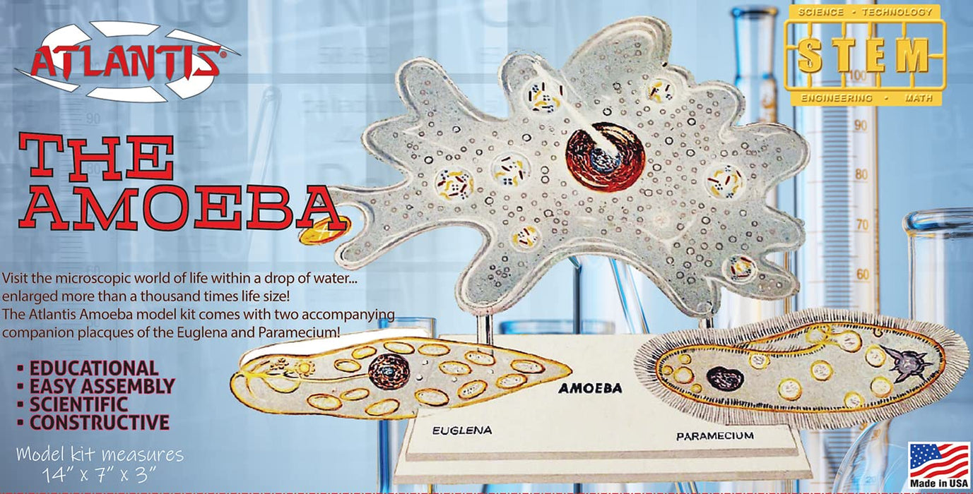 Atlantis Models The Amazing Amoeba Educational Plastic Model Kit ‎L3800 NEW_1