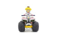 Kyosho Egg MARIOKART Buggy RC Princess Peach (Battery Pack) RTR ‎TV007B NEW_5