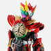 BANDAI S.H.Figuarts Shinkocchou Seihou KAMEN RIDER OOO TAJADOLCOMBOETERNITY NEW_7