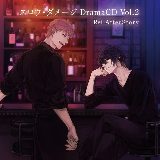 Slow Damage Drama CD Vol.2 Rei AfterStory CHNC-103 Standard Edition ADV Anime_1