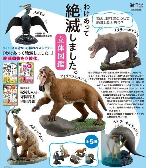 Kiyodo Capsule Q Museum It went extinct for a reason. 3D Picture Book All 5 Set_1