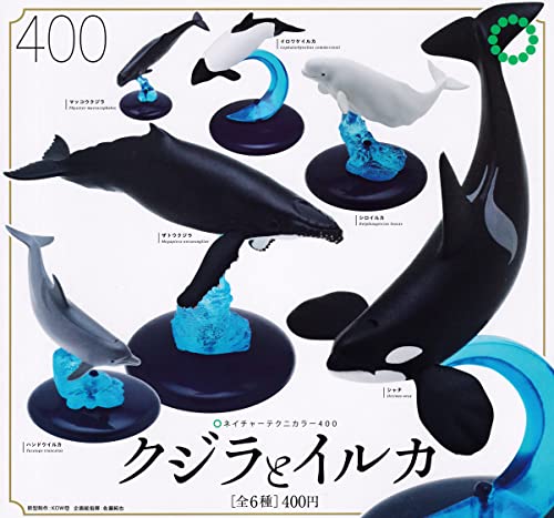 Ikimon Nature Tecni Color 400 Whales and Dolphins Set of 6 Gashapon toys NEW_1
