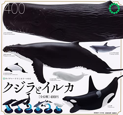 Ikimon Nature Tecni Color 400 Whales and Dolphins Set of 6 Gashapon toys NEW_2