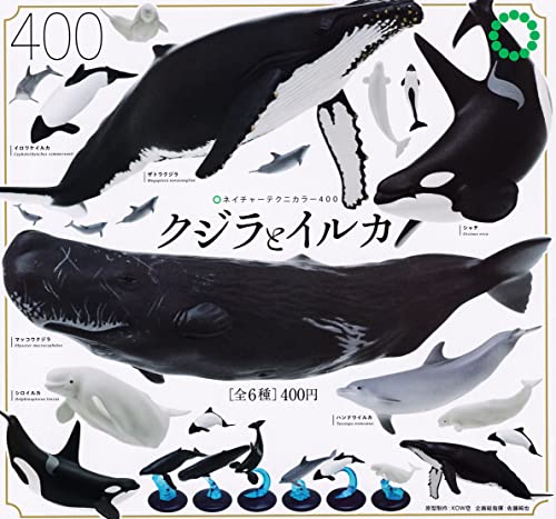 Ikimon Nature Tecni Color 400 Whales and Dolphins Set of 6 Gashapon toys NEW_3