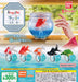 Ringcolle! Yubiwa Goldfish and Turtle 5 types Gacha complete capsule toy NEW_1