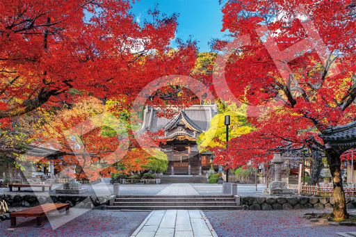 Epoch 1000pc Jigsaw Puzzle Autumn at Shuzenji Temple, Shizuoka 50x75cm ‎09-024s_1