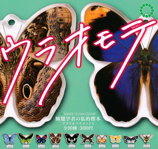 Science Technicolor Lepidopterist's private specimens Acrylic Mascot 3 Set of 10_1
