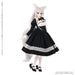 1/3 Iris Collect Reira Youkoso Mofumofu Cafe Wolf Maid ver. Doll AOD524-RMB NEW_6