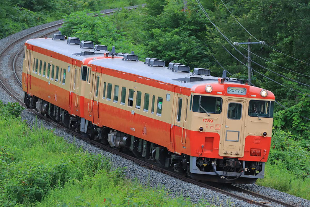 TOMIX N Gauge JR Diesel Train Type KIHA 40 1700JNR Normal Color 2-Car 98119 NEW_1