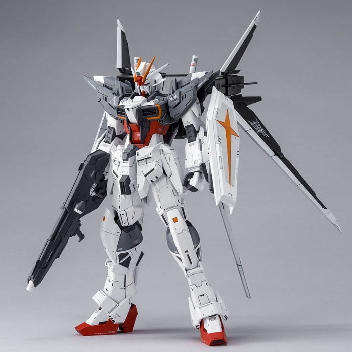 MG 1/100 Gundam EX Impulse Plastic Model Kit Gundam Build Divers 2381811 NEW_2