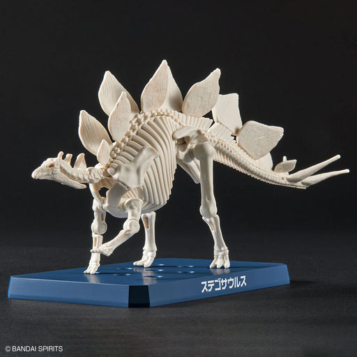 Bandai Spirits Plannosaurus Stegosaurus Colored Plastic model kit ‎2665826 NEW_2