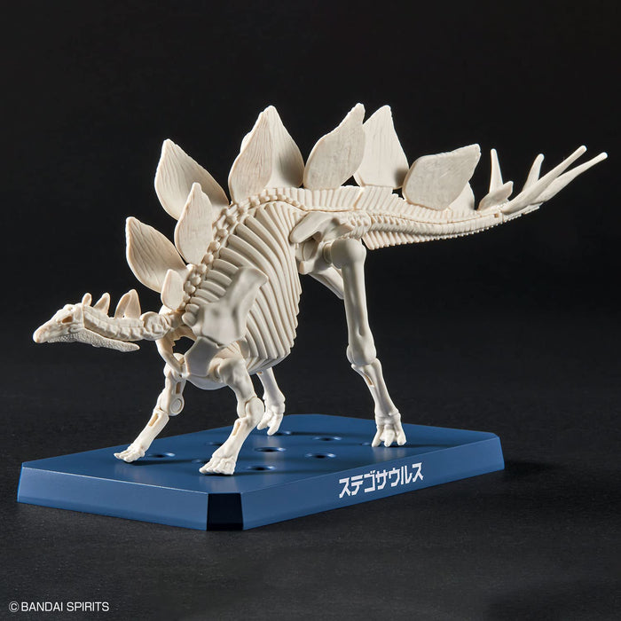 Bandai Spirits Plannosaurus Stegosaurus Colored Plastic model kit ‎2665826 NEW_3