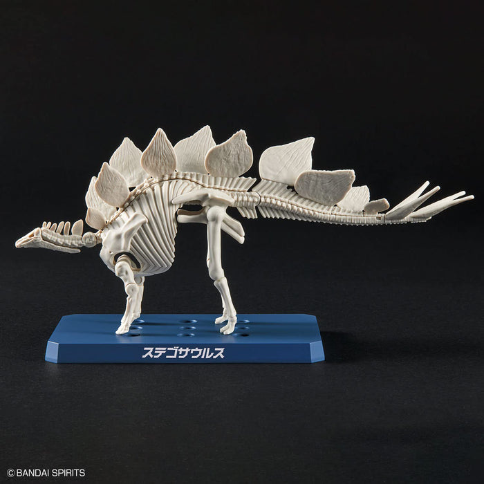 Bandai Spirits Plannosaurus Stegosaurus Colored Plastic model kit ‎2665826 NEW_4