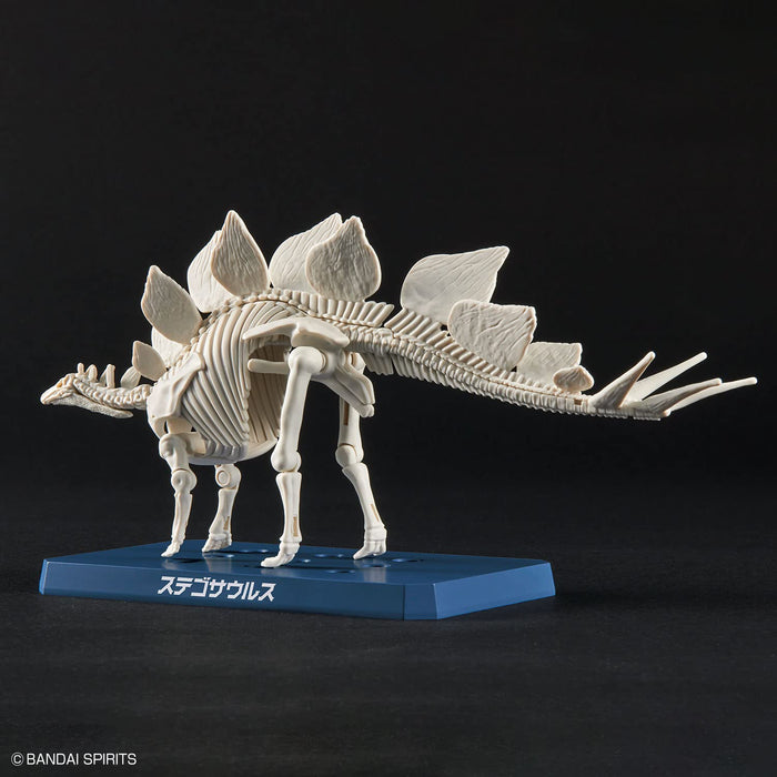 Bandai Spirits Plannosaurus Stegosaurus Colored Plastic model kit ‎2665826 NEW_5