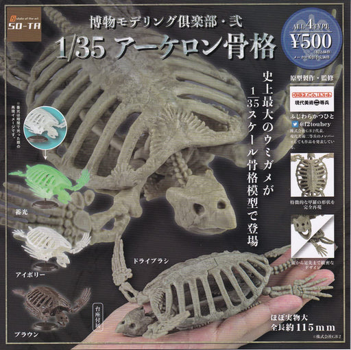 Natural History Modeling 1/35 Archelon Skeleton Set of 4 Complete Gashapon toys_1