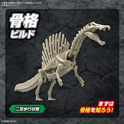 Bandai Spirits Plannosaurus Spinosaurus Painted Plastic Model Kit ‎2665827 NEW_4