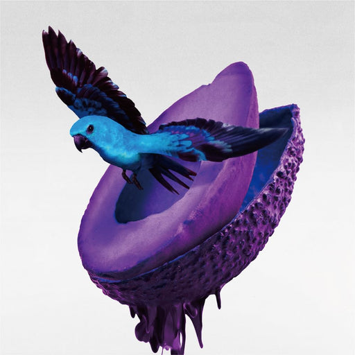 [CD+Blu-ray] Shinkai Type A First Press Limited Edition TYCT-69268 2nd Album NEW_1