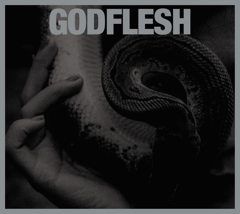 Godflesh PURGE Japan Limited Edition +Bonus Disc CD DYMC404 industrial metal NEW_1