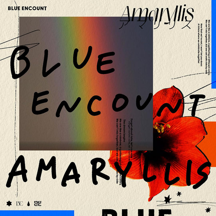 [CD+DVD] Amaryllis BLUE ENCOUNT First Press Limited Edition SECL-2916 J-Pop NEW_1