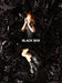 [CD+DVD] BLACK BOX Type B with GOODS First Press Limited Edition SECL-2923 NEW_1