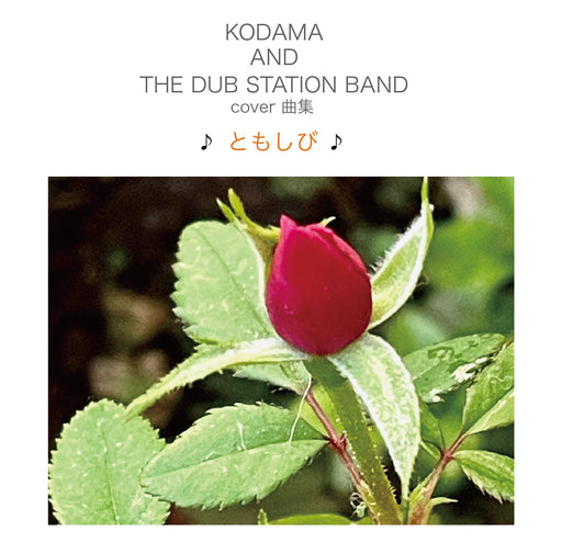 [CD] Cover Kyoku Shu Tomoshibi KODAMA AND THE DUB STATION BAND KURASHI-7 NEW_1