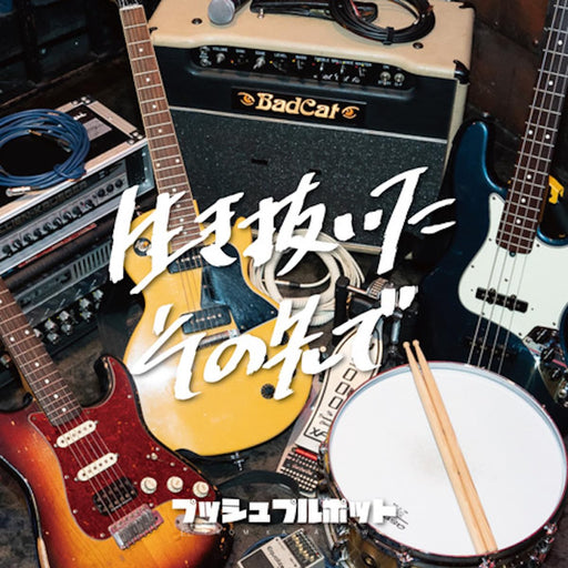 [CD] Ikinuita Sonosaki de Nomal Edition Push Pull Pot LDSF-13 J-Rock Mini Album_1