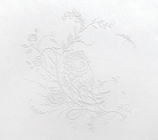 [CD+Blu-ray] Shiroiro Kagerou First Press Limited Edition Aimer VVCL-2395 NEW_1